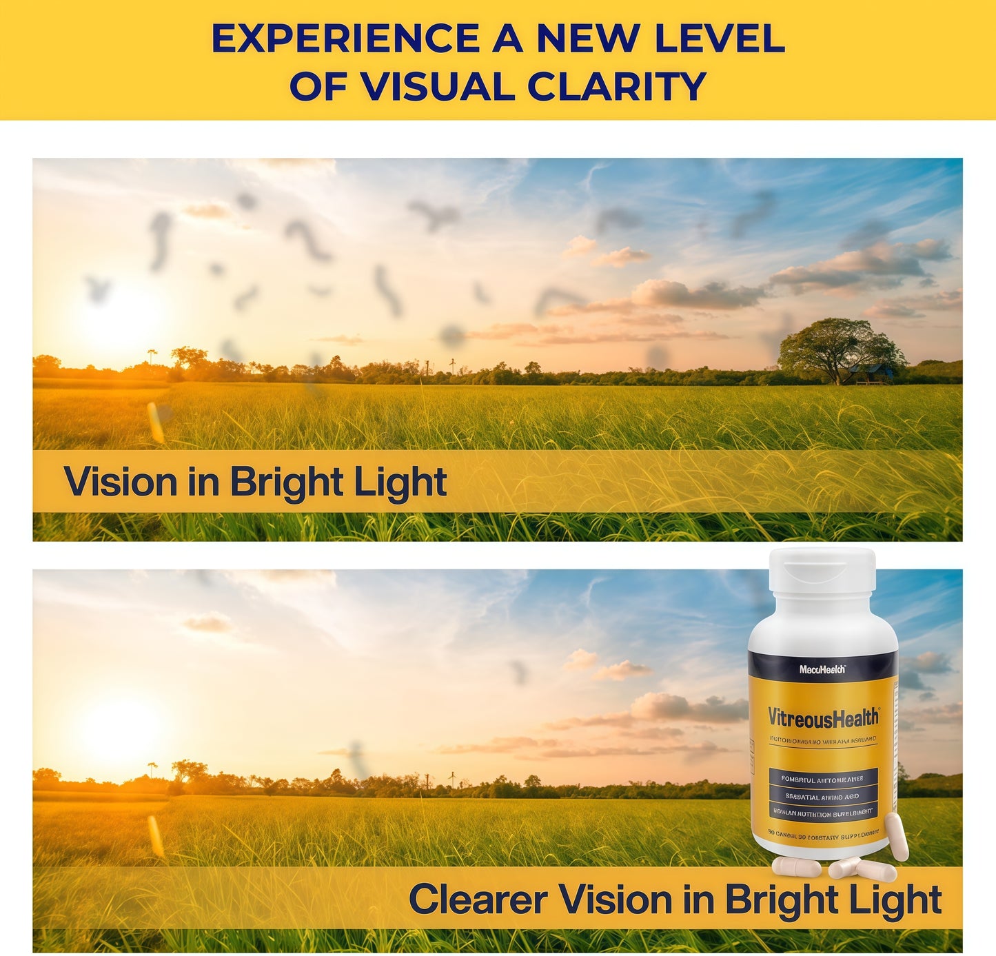 MacuHealth VitreousHealth Evidence-BasedEve Supplement - 90 Capsules